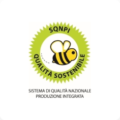 SQNPI